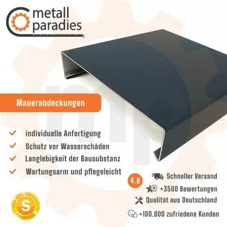 Mauerabdeckung Typ A auf Maß